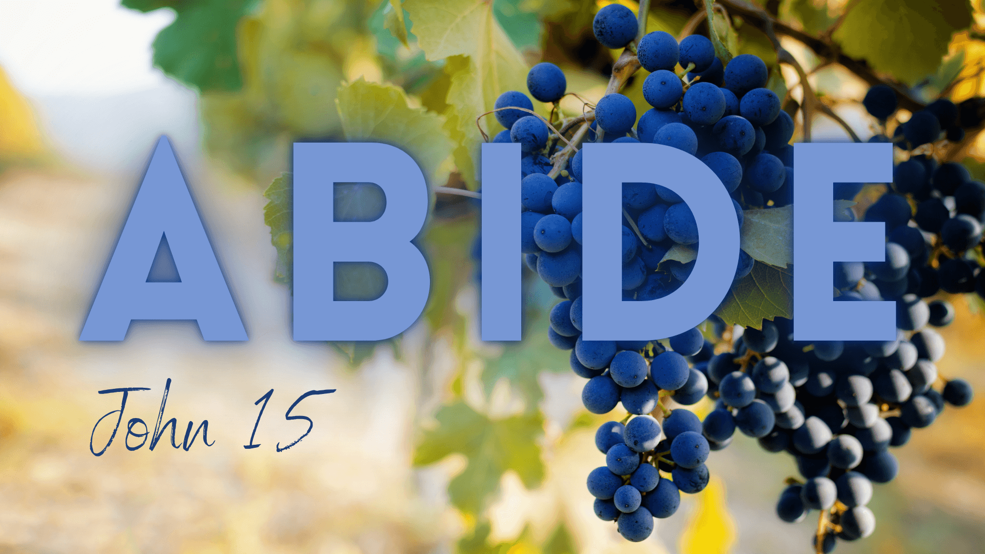 Abide - John 15
